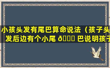 小孩头发有尾巴算命说法（孩子头发后边有个小尾 🐟 巴说明孩子厉 🦢 害）